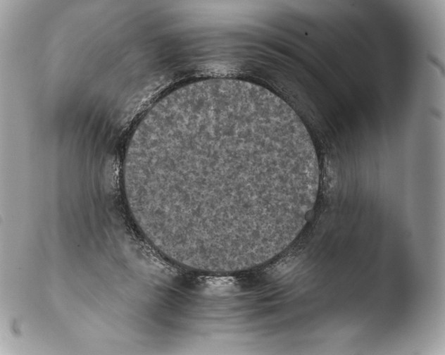 X0000103960355200810171907