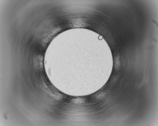 X0000103960356200810171907