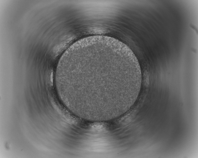 X0000103960358200810171907