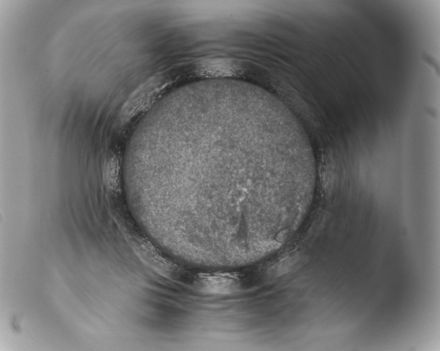 X0000103960359200810171907