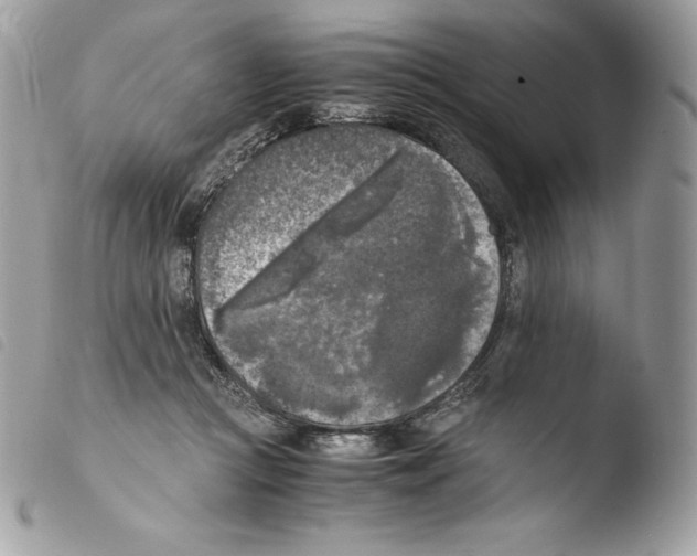 X0000103960361200810171907