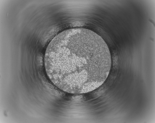 X0000103960362200810171907