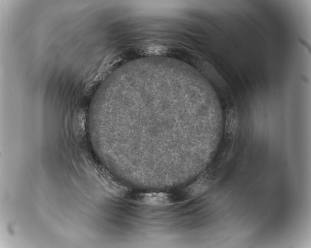 X0000103960363200810171907