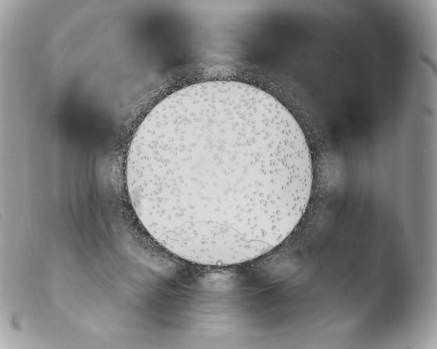 X0000103960364200810171907