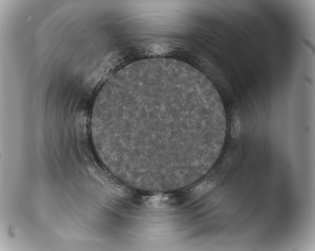 X0000103960366200810171907