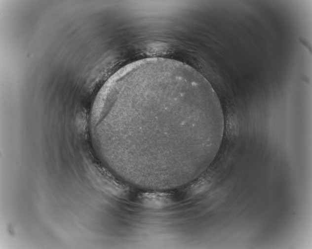 X0000103960367200810171907