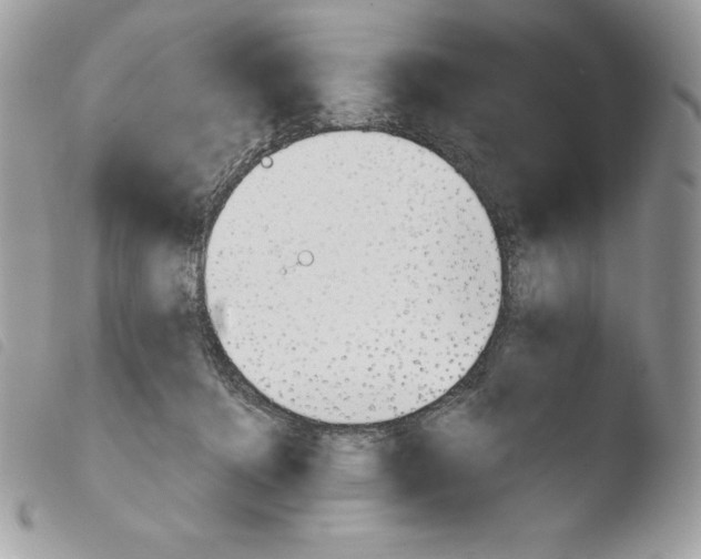 X0000103960368200810171907