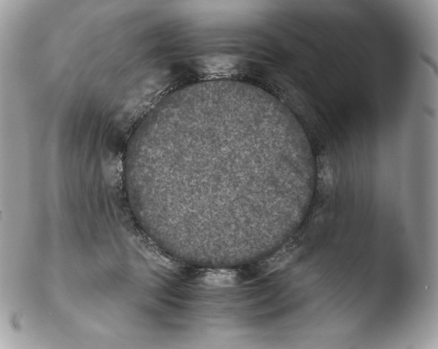 X0000103960369200810171907