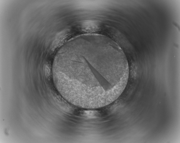X0000103960371200810171907