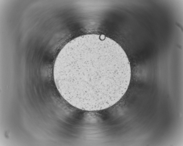 X0000103960372200810171907