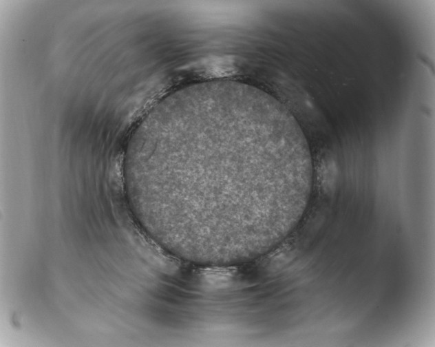 X0000103960373200810171907