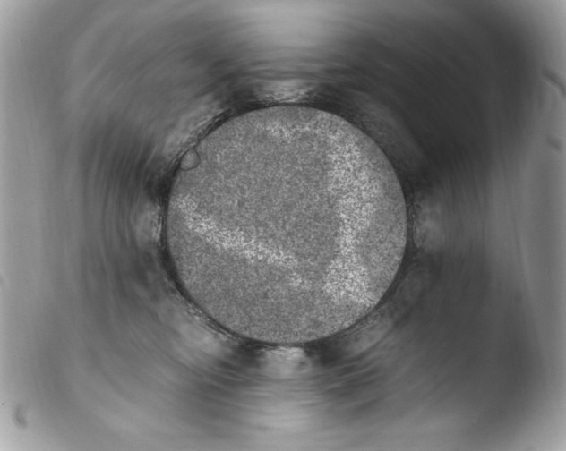 X0000103960374200810171907