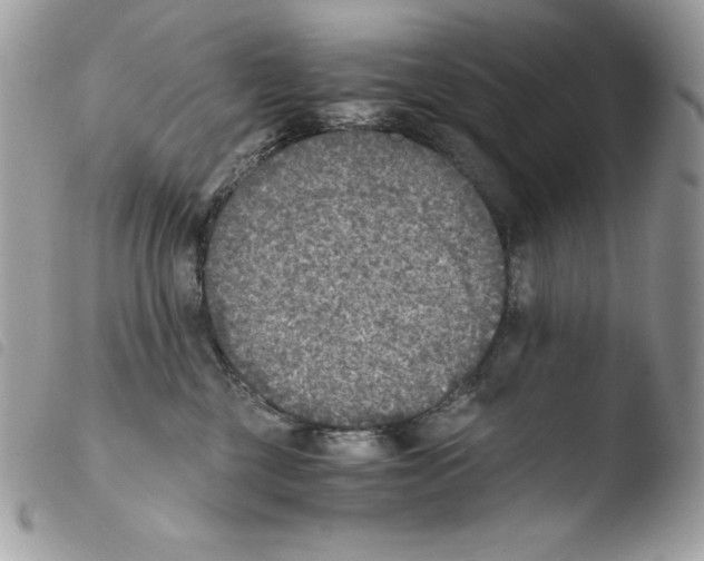 X0000103960377200810171907