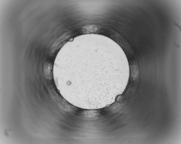 X0000103960378200810171907