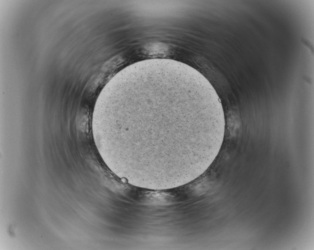 X0000103960379200810171907