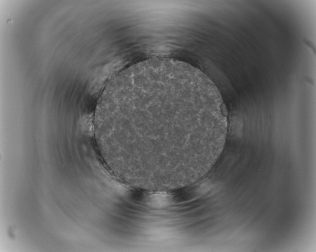 X0000103960383200810171907