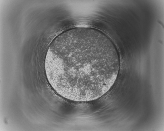 X0000103960385200810171906