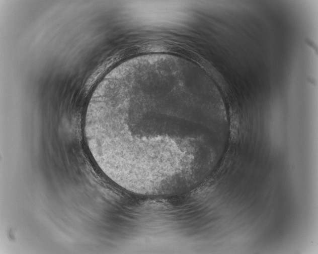 X0000103960386200810171906