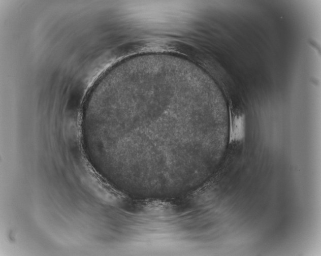 X0000103960387200810171906