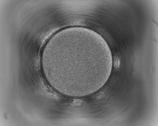 X0000103960388200810171906