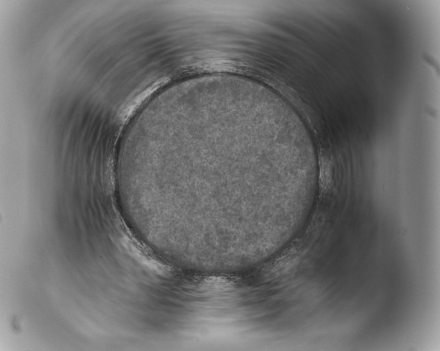 X0000103960390200810171906