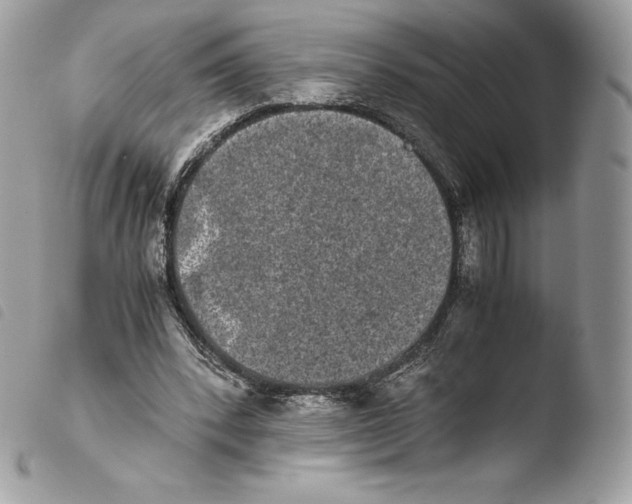 X0000103960392200810171906