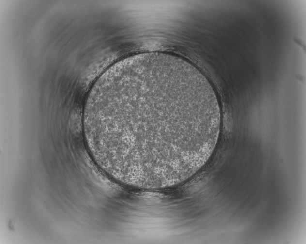 X0000103960393200810171906