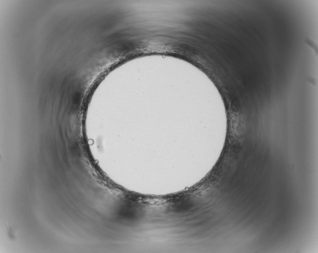 X0000103960395200810171906