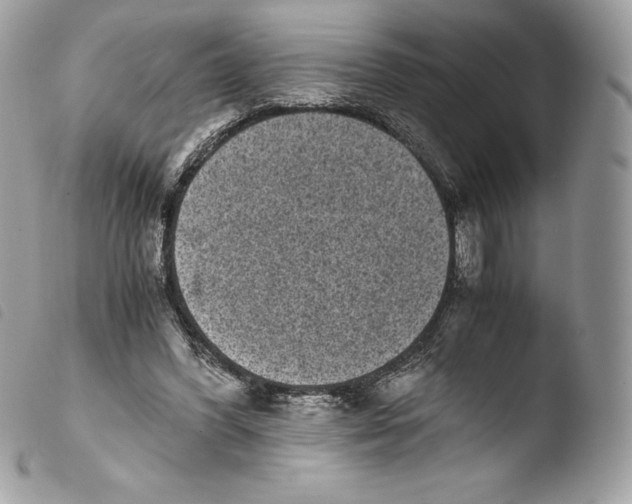 X0000103960396200810171906