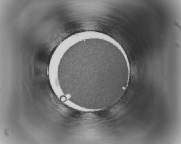 X0000103960397200810171906