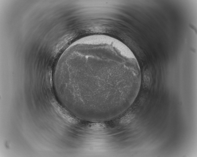 X0000103960398200810171906