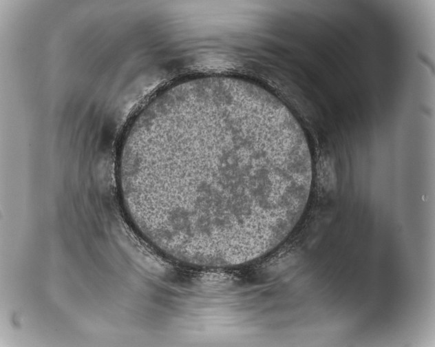 X0000103960399200810171906