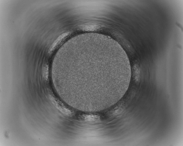 X0000103960400200810171906