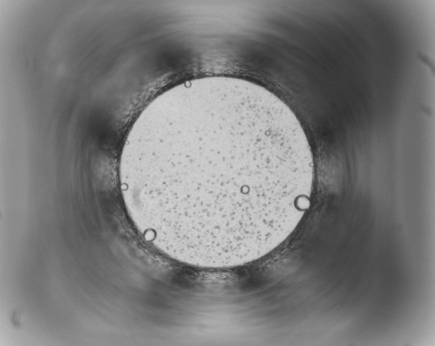 X0000103960401200810171906