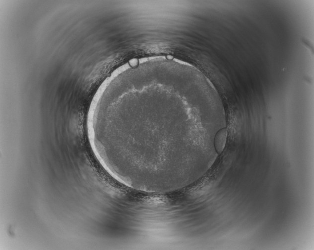 X0000103960402200810171906