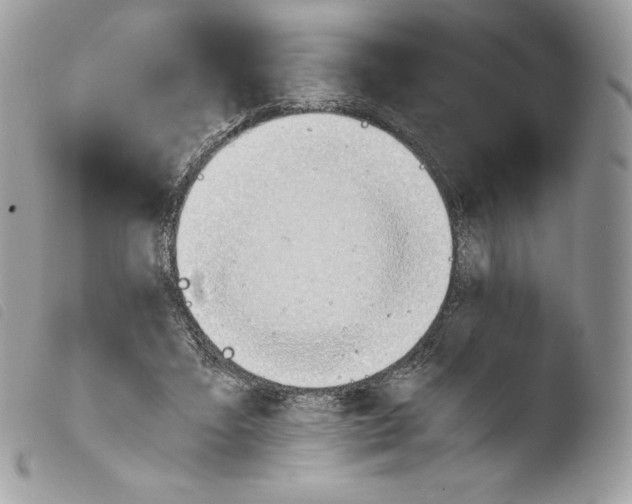 X0000103960403200810171906