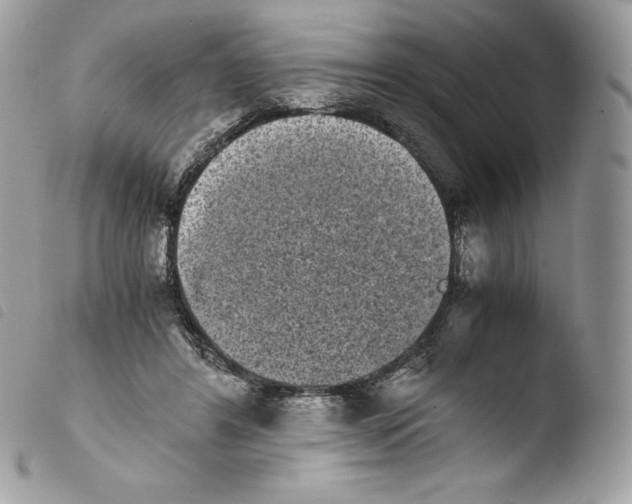 X0000103960404200810171906