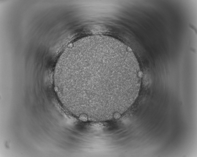 X0000103960405200810171906