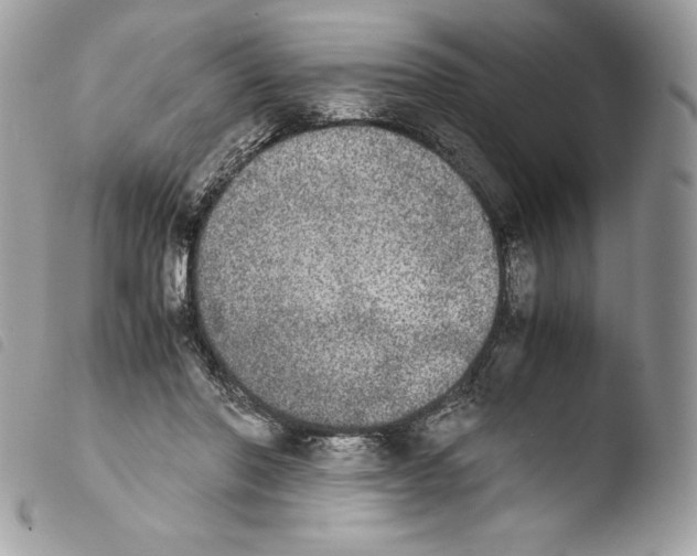 X0000103960406200810171906