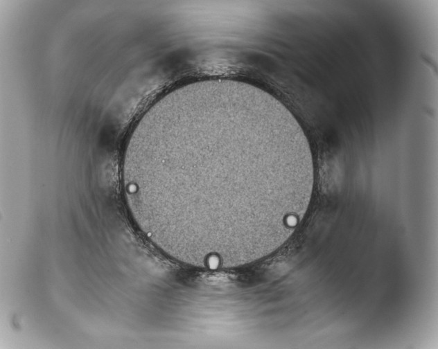 X0000103960407200810171906