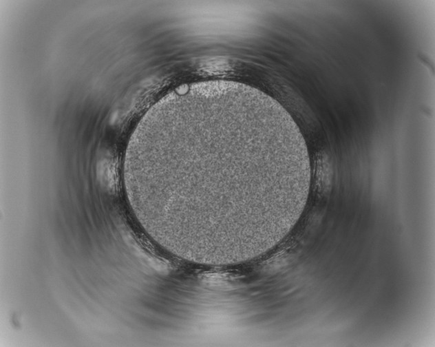 X0000103960408200810171906