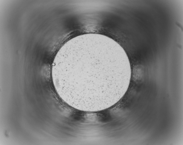 X0000103960413200810171906