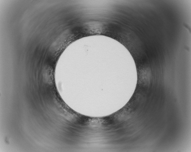 X0000103960414200810171906