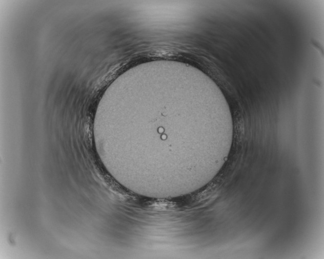 X0000103960415200810171906