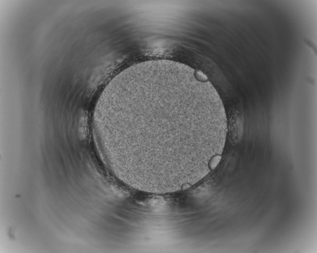 X0000103960416200810171906