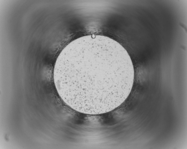 X0000103960417200810171906