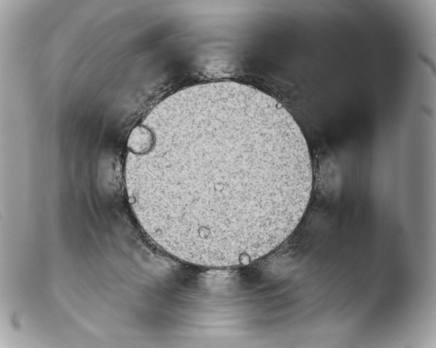 X0000103960418200810171906