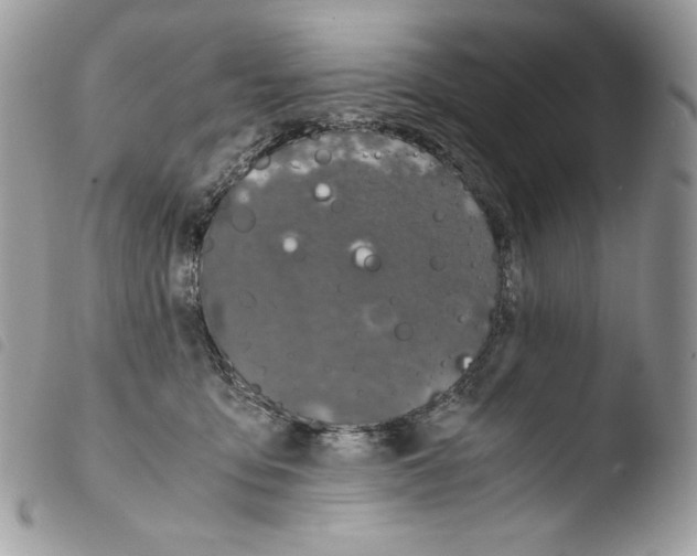 X0000103960419200810171906