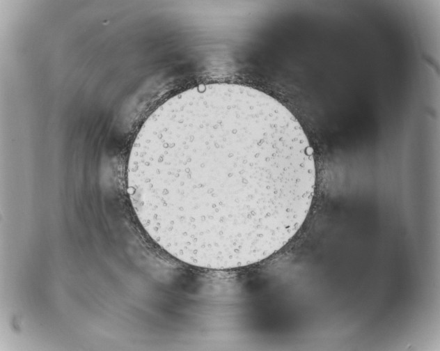 X0000103960421200810171906