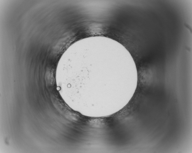 X0000103960422200810171906